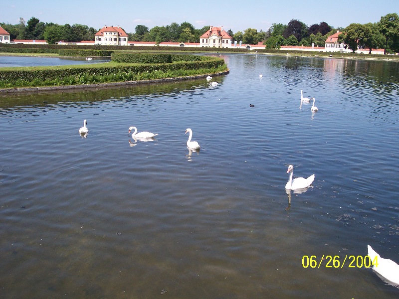 s-100_0245.jpg