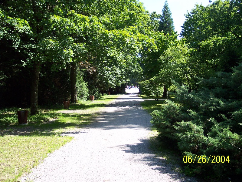 s-100_0272.jpg