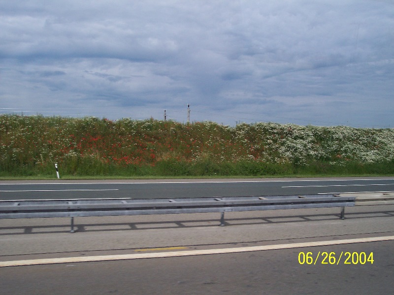 s-100_0294.jpg