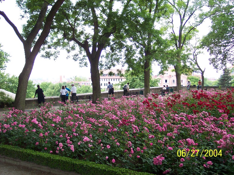 s-100_0382.jpg