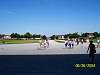 s100_0275.jpg