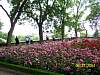s100_0382.jpg