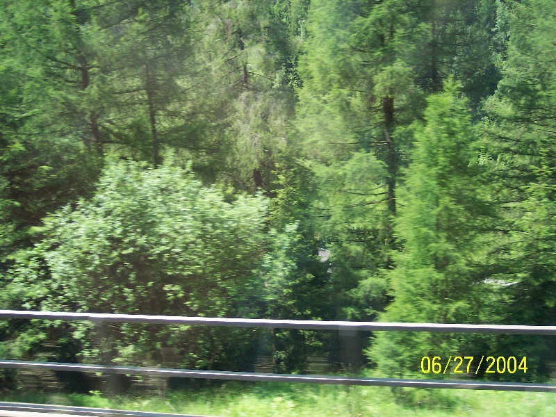 s-100_0515.jpg