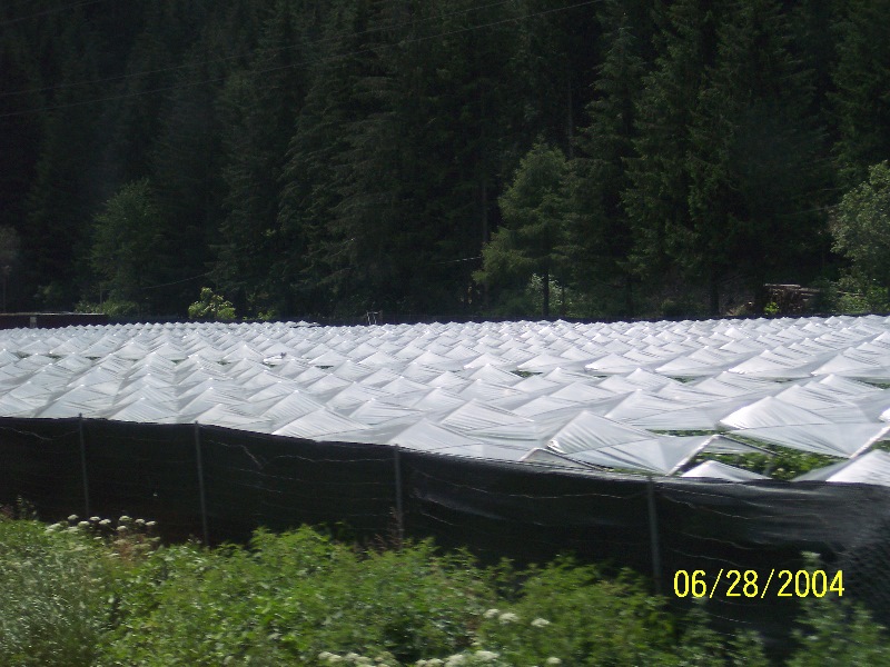 s-100_0531.jpg