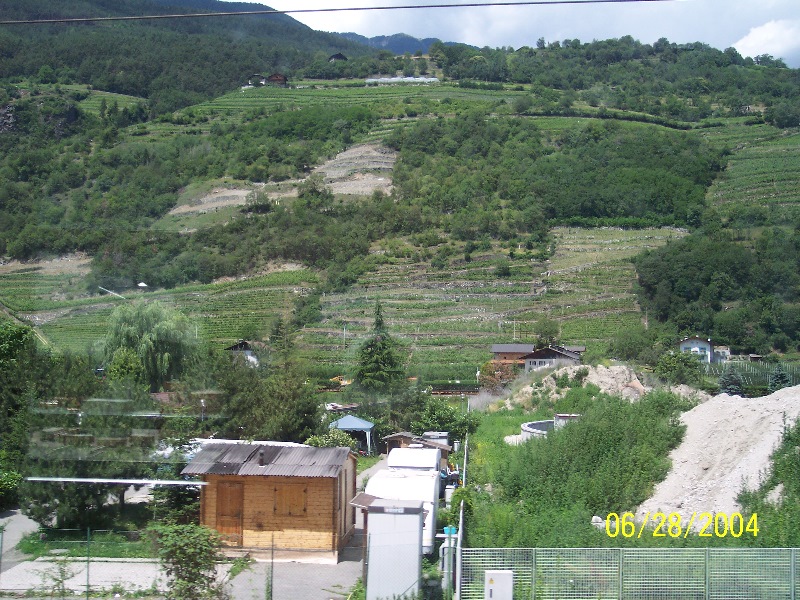s-100_0536.jpg