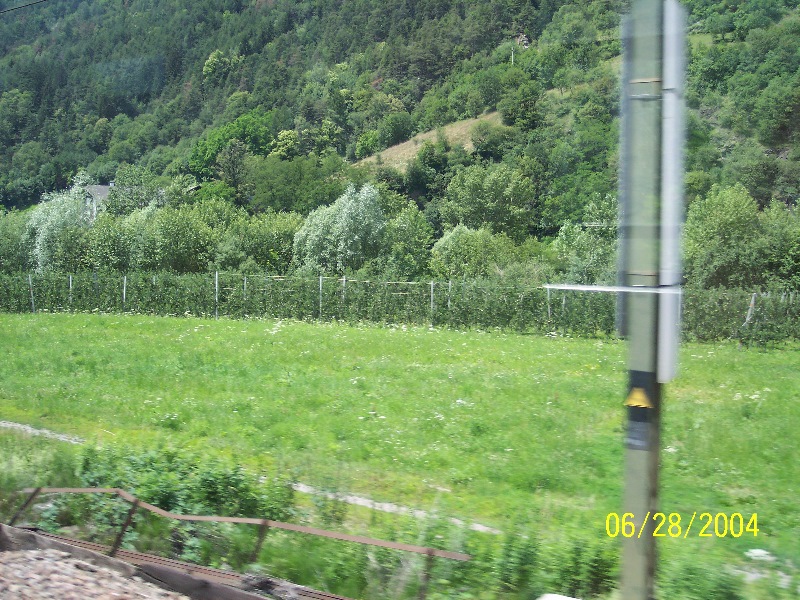 s-100_0537.jpg
