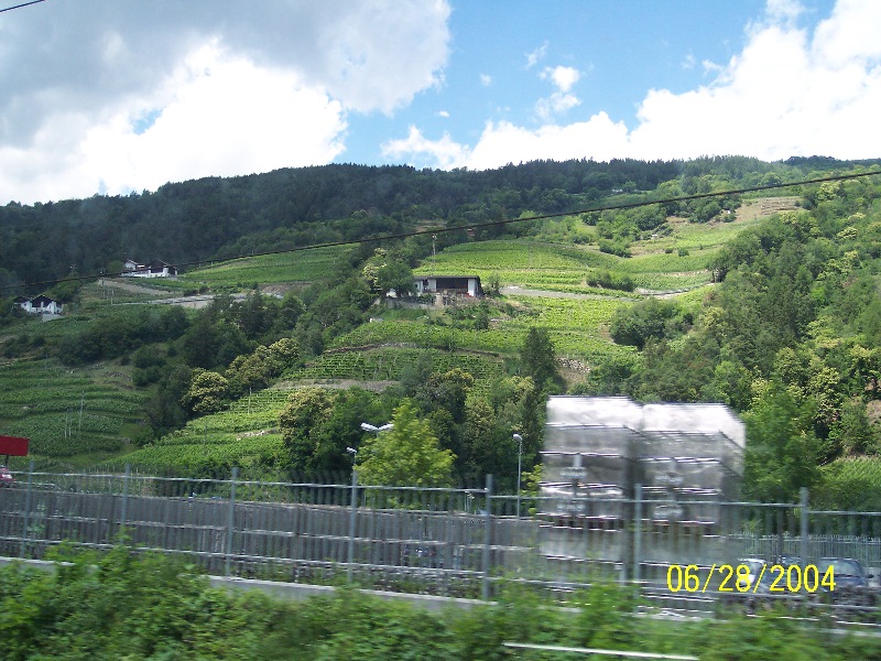 s-100_0539.jpg