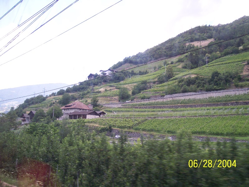 s-100_0540.jpg