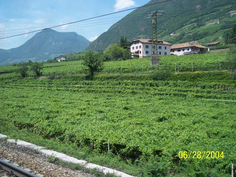 s-100_0557.jpg