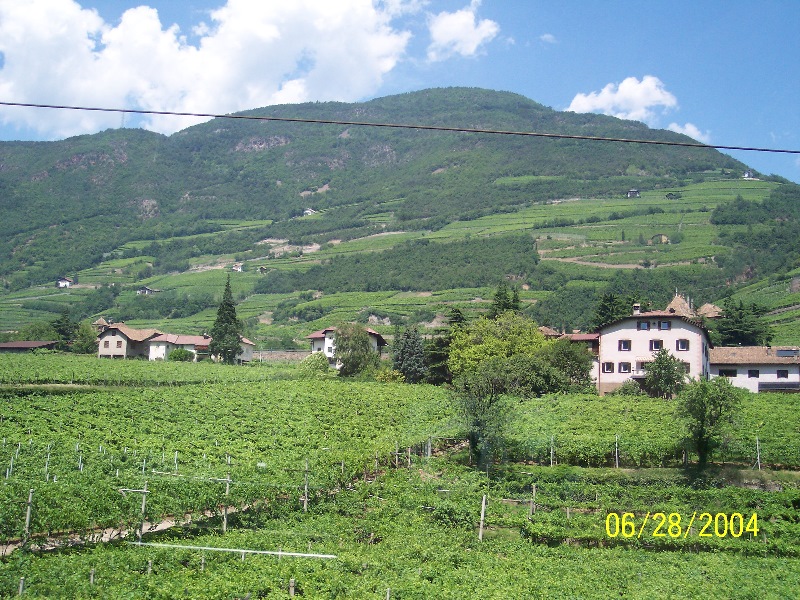 s-100_0558.jpg