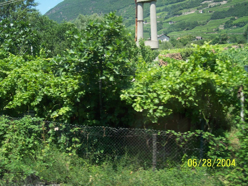 s-100_0560.jpg