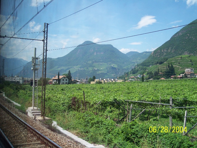 s-100_0561.jpg