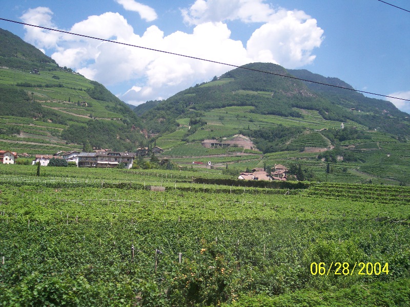 s-100_0562.jpg