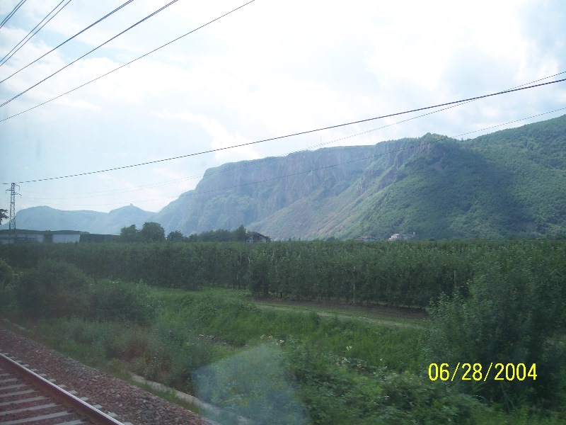 s-100_0567.jpg