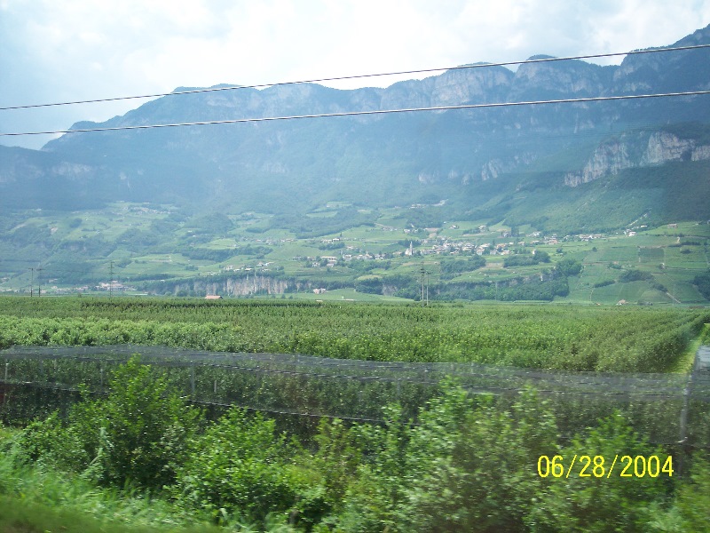 s-100_0576.jpg