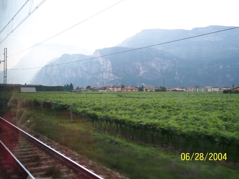 s-100_0582.jpg