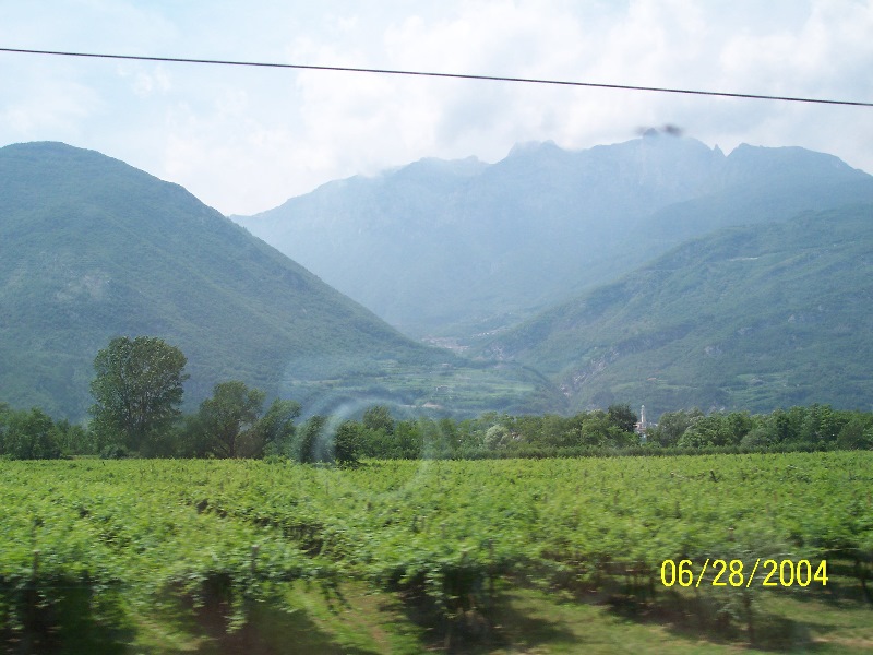 s-100_0588.jpg
