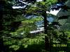 s100_0520.jpg