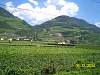 s100_0562.jpg