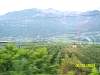 s100_0575.jpg