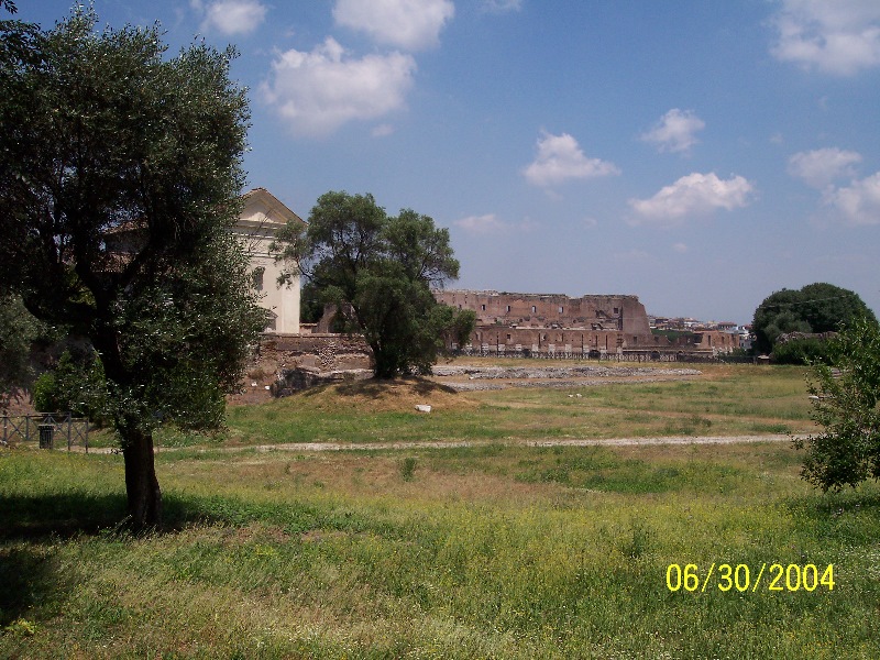 s-100_0977.jpg