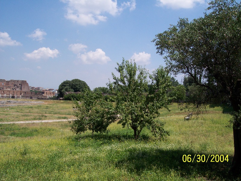 s-100_0978.jpg