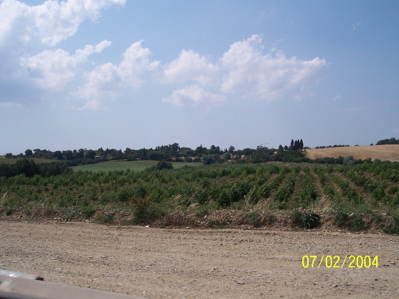 s-100_1033.jpg