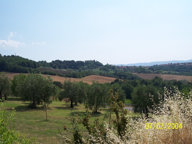s-100_1034.jpg