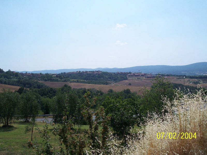 s-100_1035.jpg