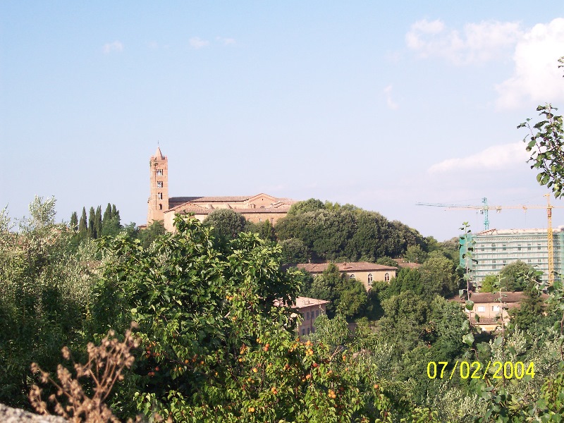 s-100_1045.jpg