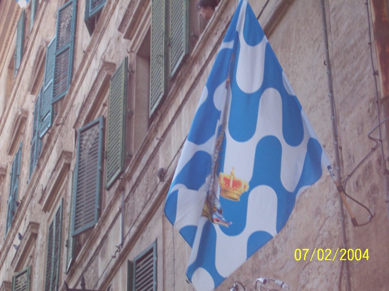s-100_1124.jpg