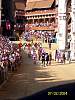 s100_1071.jpg