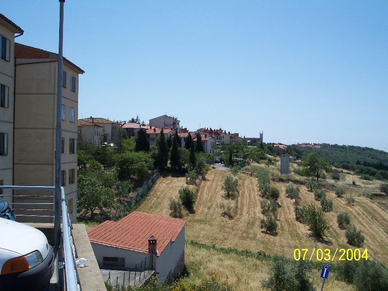 s-100_1150.jpg