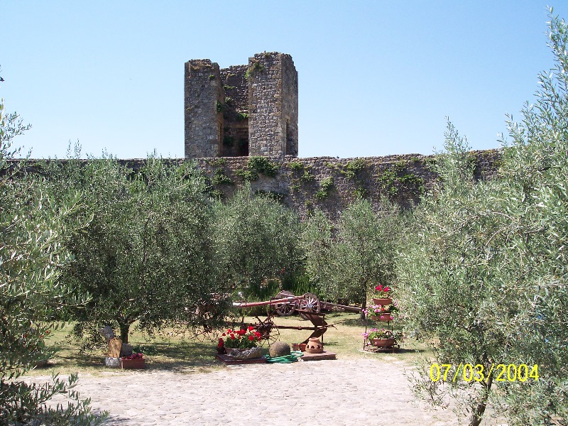 s-100_1181.jpg