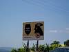 s100_1157.jpg
