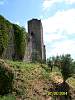 s100_1179.jpg