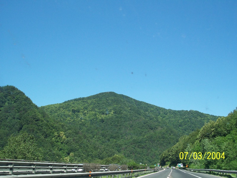 s-100_1195.jpg
