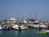 s100_1331.jpg