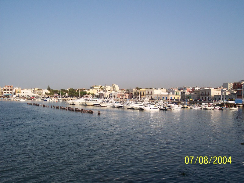 s-100_1350.jpg
