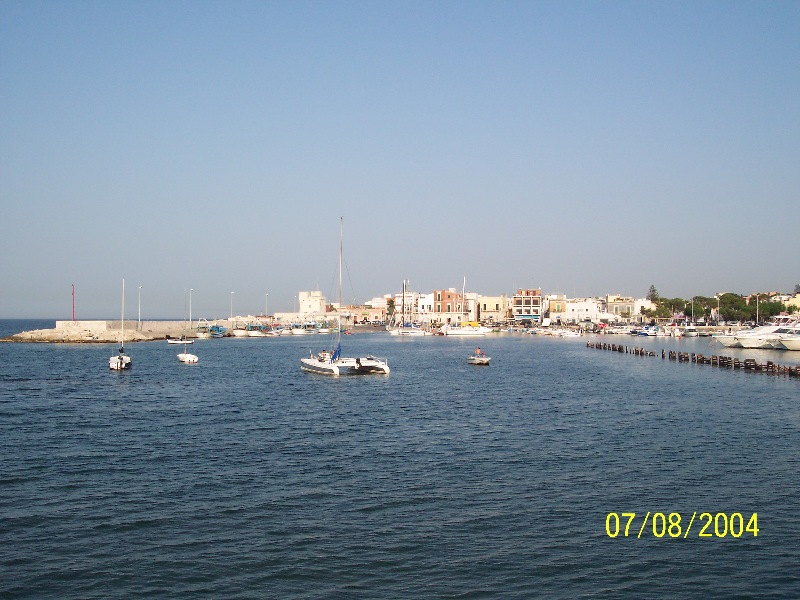 s-100_1351.jpg