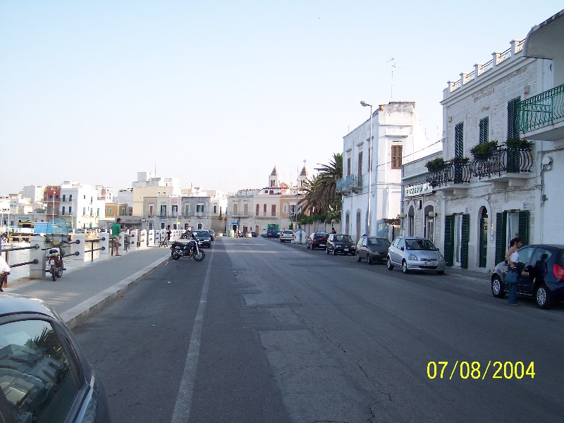 s-100_1355.jpg