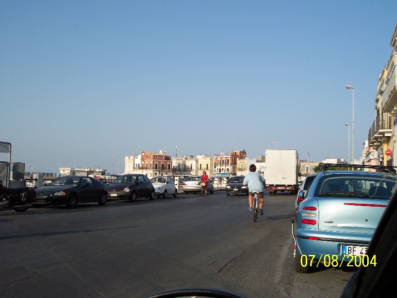 s-100_1356.jpg