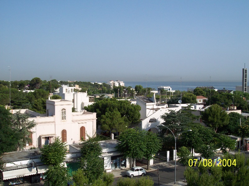 s-100_1357.jpg