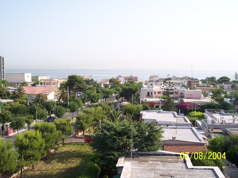 s-100_1358.jpg