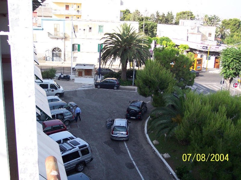 s-100_1360.jpg