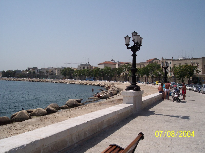 s-100_1367.jpg