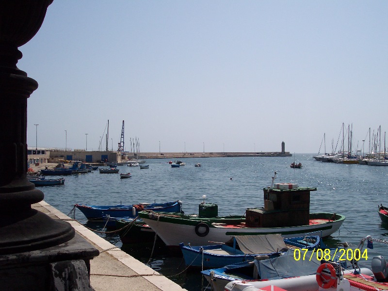 s-100_1373.jpg