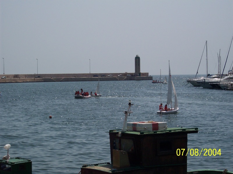 s-100_1379.jpg