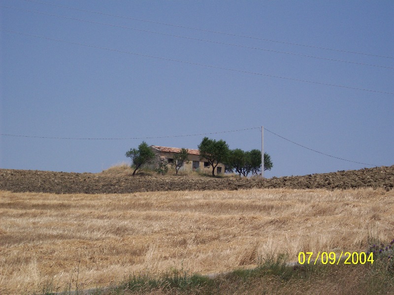 s-100_1408.jpg