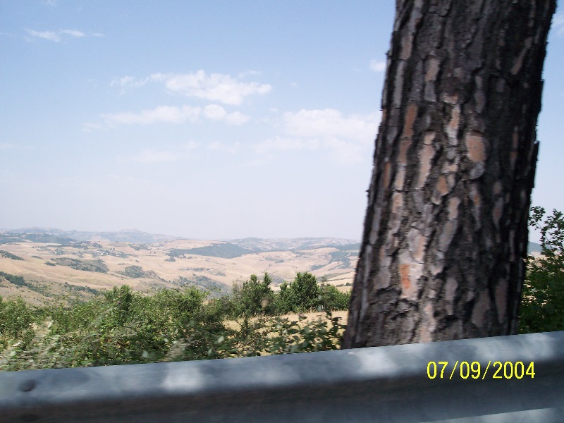 s-100_1411.jpg